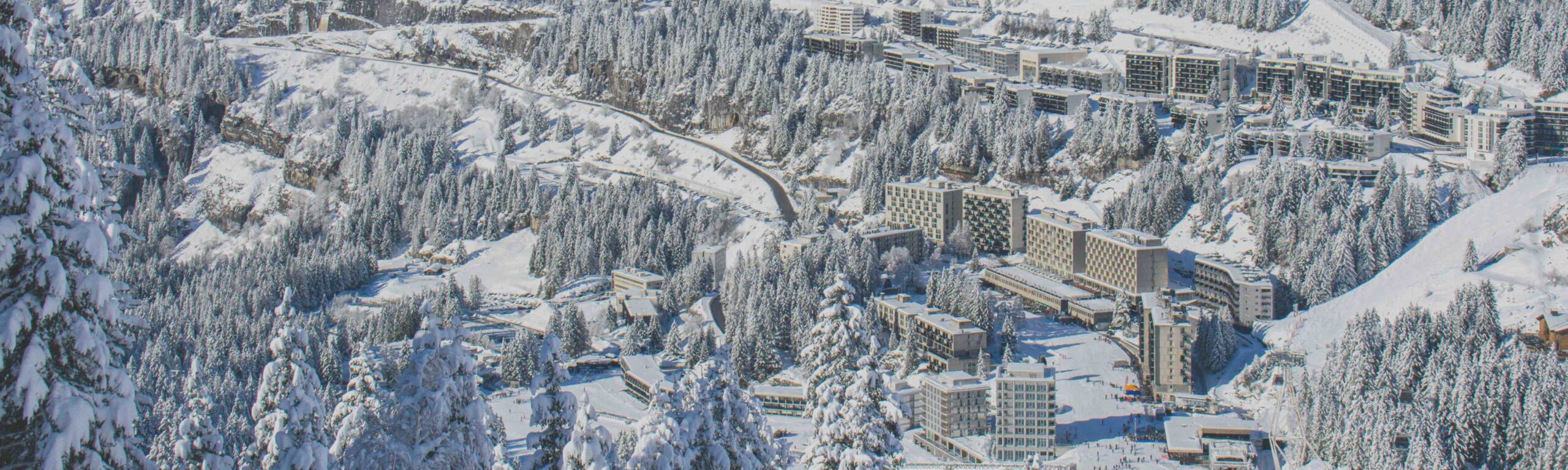 Panoramic view of snow-covered Flaine, showing snow-covered fir trees, the road leading to the Pierre Carrée pass and the various buildings in the Flaine resort.
