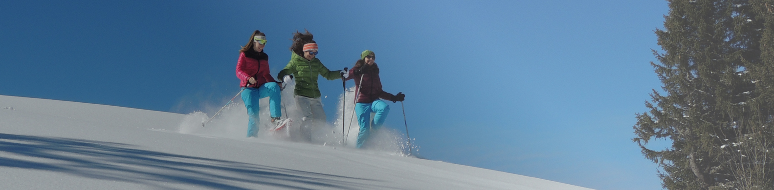 Three people are snowshoeing on a snowy slope in Flaine, under a clear blue sky with the sun shining in the background.